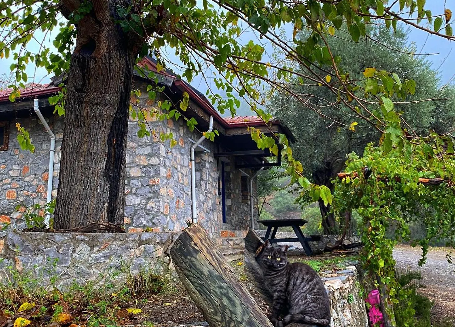 Togo Iztuzu Stonehouse-3 Villa Bogazagzi Turkey